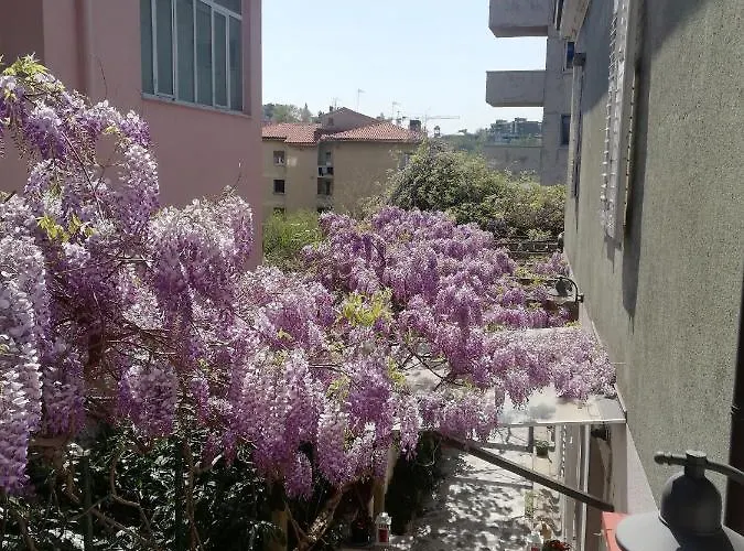 Grim Bed & Breakfast Terst